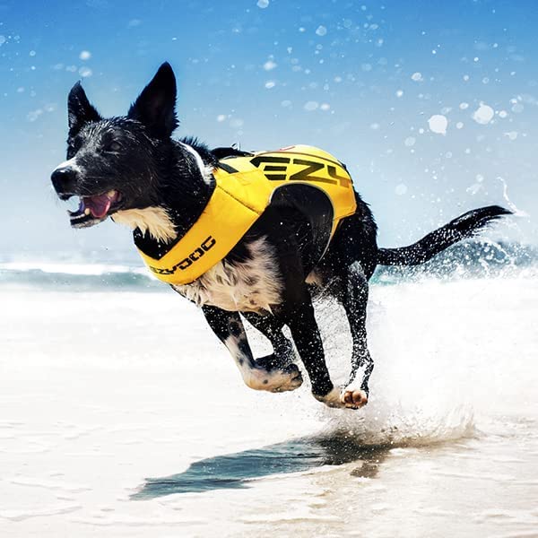 EzyDog DFD X2 Dog Life Jacket Yellow Large with Grab Handle & Reflective Trim
