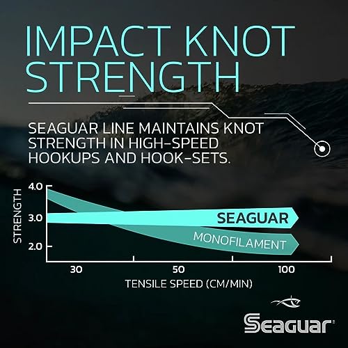 Seaguar Blue Label 100% Flourocarbon Fishing Line (DSF), 2lbs, 25yds Break Strength/Length - 02FC25