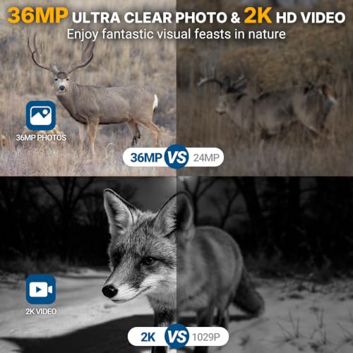 Camo 4-Pack Trail Camera with Night Vision, Fast Trigger 0.05s Waterproof Deer Camera for Wildlife & Security