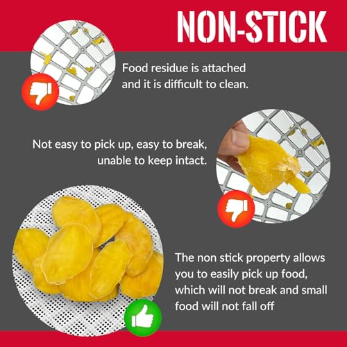 Silicone Food Dehydrator Sheets Pack of 5 for Fruit and Jerky - BPA Free