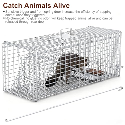 Large Humane Collapsible Animal Trap Cage 37x14x15 Inches for Raccoons Foxes