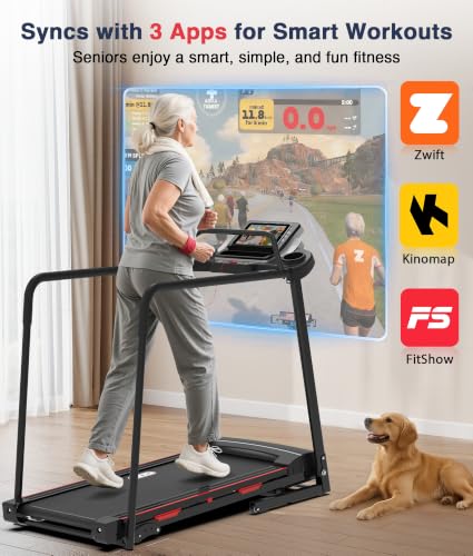 Redliro Black Senior Walking Treadmill 400lb Capacity with Handrails, Incline & Easy Controls