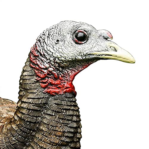 Avian-X LCD Breeder Hen Turkey Decoy - Solid Variation for Hunting