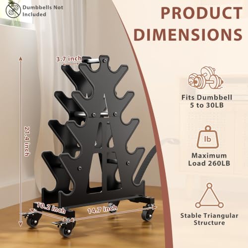 Black 5-Tier Dumbbell Rack Stand with Wheels - Heavy Gauge Steel Home Gym Organizer