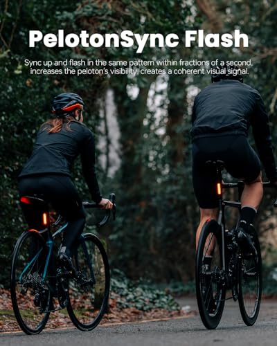 Bike Tail Light with Sync & 50 Lumens - Waterproof USB Rechargeable