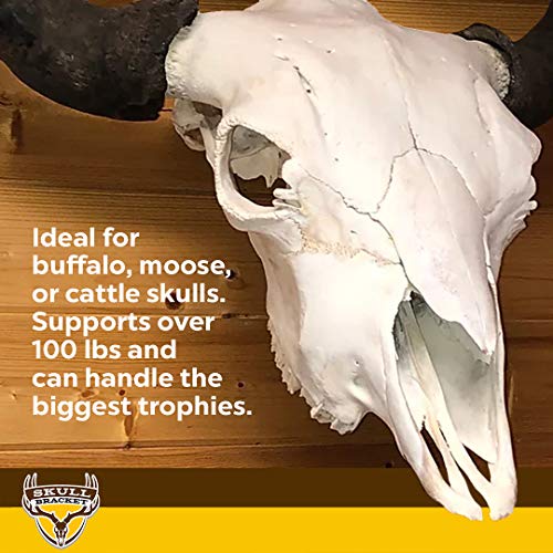 Heavy-Duty Buffalo Bracket - Elk Moose Cattle Skull Mounting Support - USA Made, Oil-Rubbed Bronze Finish (Variation of THIS listing)