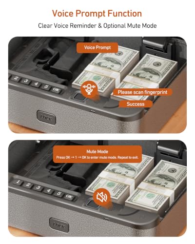 BILLCONCH Basic Gun Safe for Handgun with Fingerprint, Keypad & Security Cable