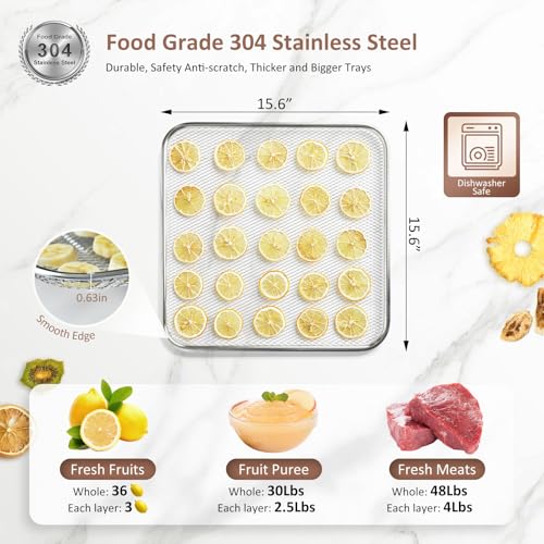 Ausegia 12-Trays Commercial Food Dehydrator - Large Capacity Stainless Steel Dryer for Meat, Fruit, Veggies, Herbs, Pet Food