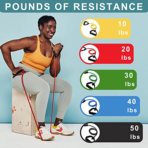 Resistance Bands with Handles - Red 10-20lb Strength, Portable Exercise Set
