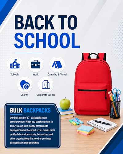 Assorted 24 Pack Lightweight 17-Inch Travel & Outdoor Backpacks - Bulk Gym & School Bags