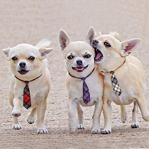 Segarty 10PCS Multi-Colored Large Dog Bow Ties with Adjustable Collar Valentine's Holiday