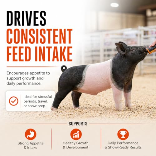 Infinite Health Labs Orange Power Show Animal Appetite Support 32 Fl Oz - Show Animal Feed