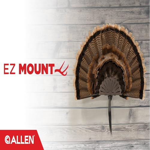 Allen Company EZ Mount Stackable Turkey Fan & Beard Display - Metal Trophy Mount - Wall Display for Turkey Slam & Hunting Trophy Rooms - Brown
