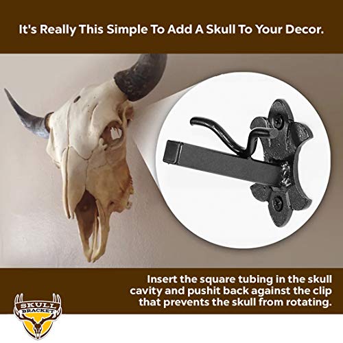 Heavy-Duty Buffalo Bracket - Elk Moose Cattle Skull Mounting Support - USA Made, Oil-Rubbed Bronze Finish (Variation of THIS listing)