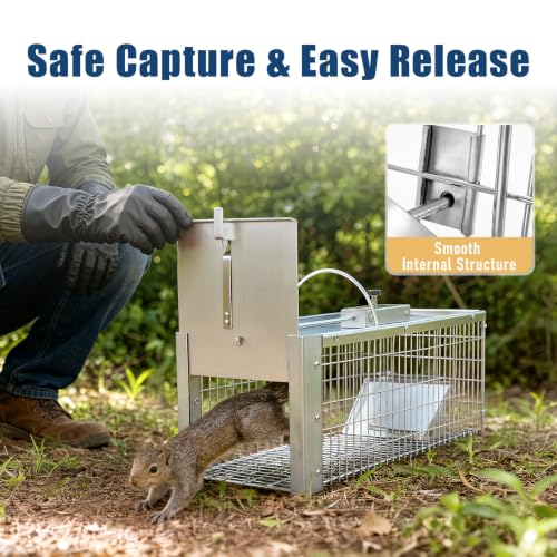 Live Animal Cage Trap for Rodents and Small Pests - Humane Catch and Release