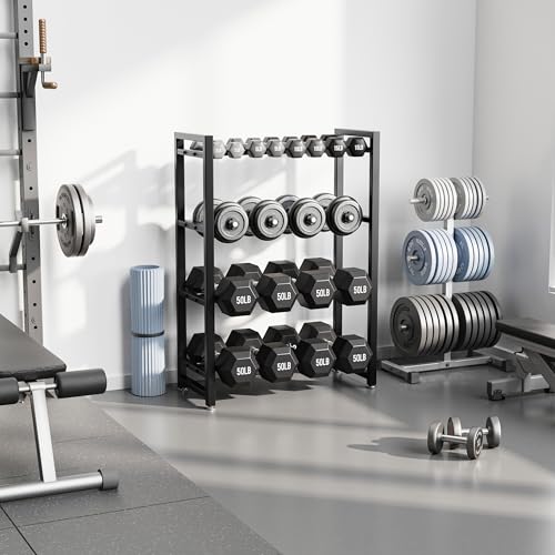 4-Tier Dumbbell Rack for Home Gym, Heavy Duty Weight Storage Stand