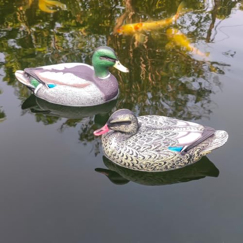 Realistic Mallard Duck Decoy Pair for Hunting and Garden Decor - 2 Mallards