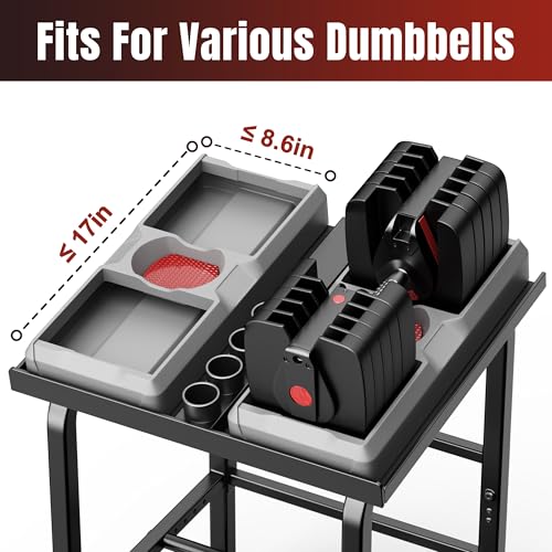Heavy Duty Dumbbell Rack Stand for Adjustable Weights | Supports 500lbs