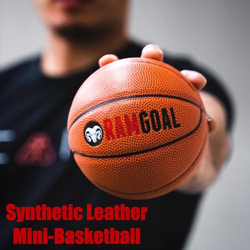 Wall Mounted Indoor Mini Basketball Hoop with Ball - 24-Inch Backboard & Breakaway Rim - Variation: Basketball Hoop + Ball