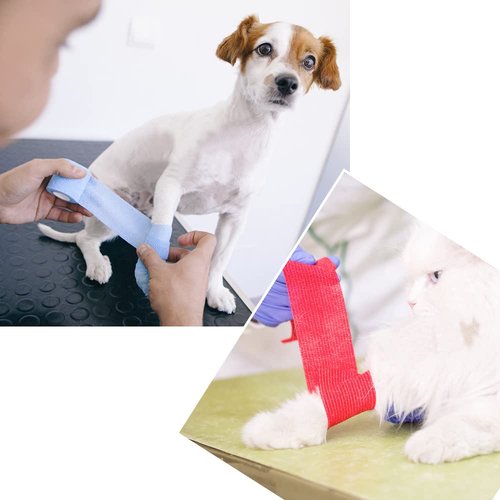 12/24/48/72pcs Self Adhesive Bandage Wraps, 2in 5 Yards, Multicolor (3 Inch, 24 Pack Multicolor)
