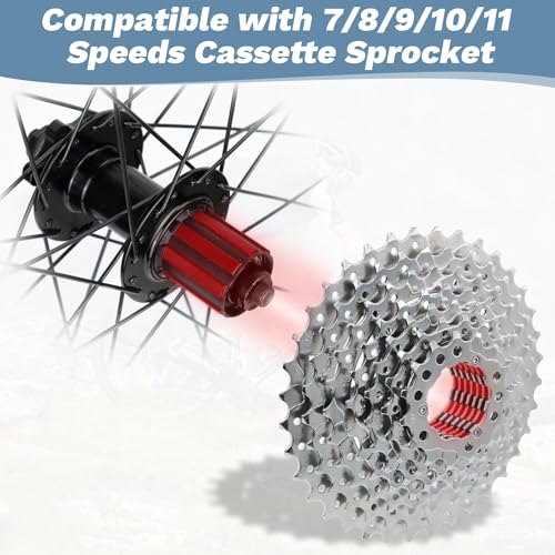 29 Inch MTB Wheel Set with Aluminium Alloy Double Wall Rims for Disc Brake Bikes - Rear Variation