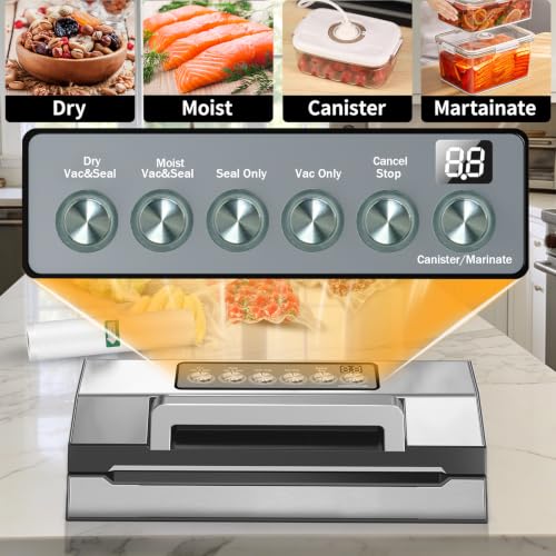 LIWUNON Stainless Steel Vacuum Sealer for Food - Automatic & Heavy Duty