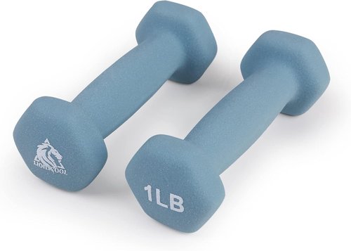 LIONSCOOL Neoprene Coated Dumbbell Hand Weights - Anti-Slip Hex Design for Strength Training | Set of 2