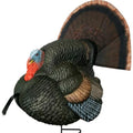 Primos Hunting Photoform Leading Hen Decoy_Turkey Hunting Decoy_69070, One Size