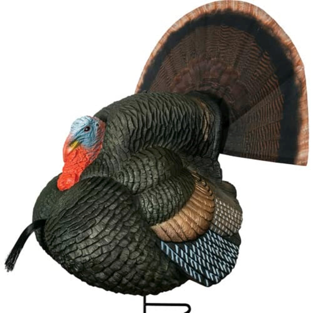 Primos Hunting Photoform Leading Hen Decoy_Turkey Hunting Decoy_69070, One Size