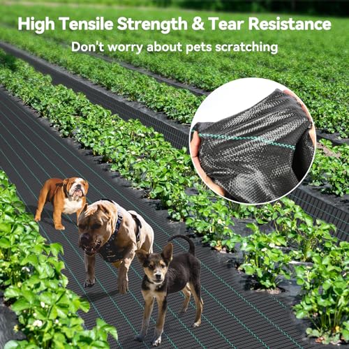 Heavy Duty Weed Barrier Fabric 6ft x 300ft Landscape Fabric - Garden & Landscaping