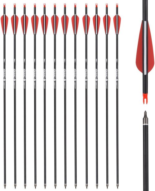 Carbon Arrow Hunting Arrows - 100 Grain Removable Tips for Compound, Recurve & Traditional Bows | Pack of 12