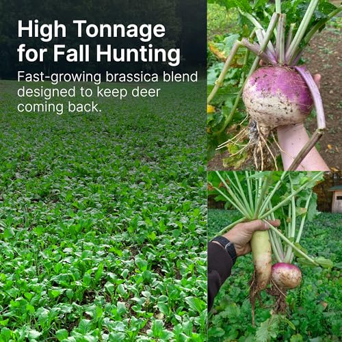 Hit List Seed Brassica Food Plot Seeds for Deer - 1 Acre (6 lbs) Annual Mix