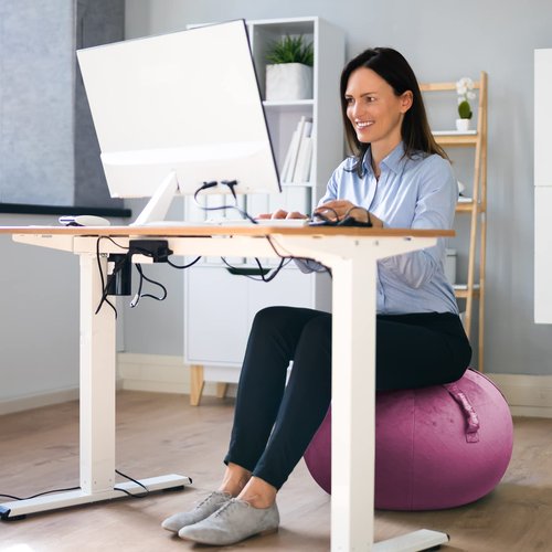 Howdy Bally Protective Cover for Home-Use Yoga/Exercise/Balance Ball with Convenient Carry Handles - Foldable, Durable Anti-Burst Cover for Sitting Ball Chair, Office Use - 55cm