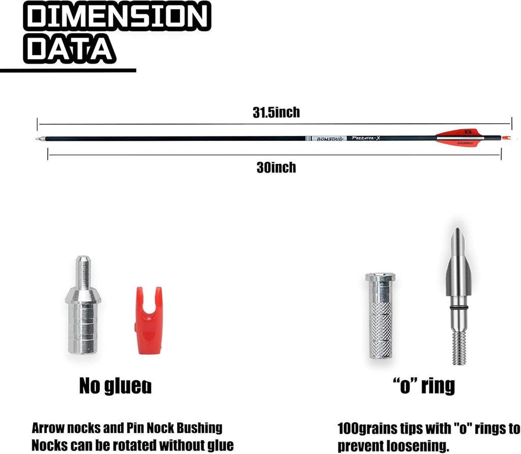 Skiennix 31-Inch Carbon Arrows - Removable Tips for Target Practice | Pack of 12 for Compound & Recurve Bows