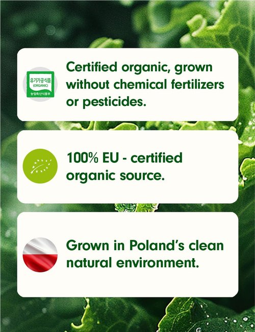 (1+1)100% Freeze-Dried Curly Kale Powder, 1g x 14 Sticks, Single-Ingredient Vegetable Powder, Product of Poland