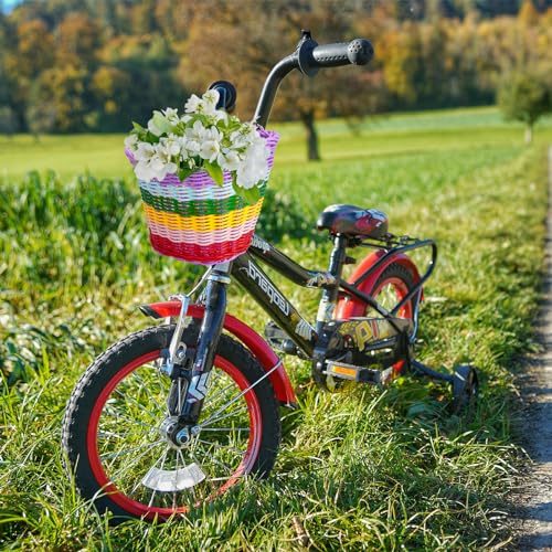 Rainbow Kids Handlebar Bicycle Basket Set with Necklace Bell Streamers and Stickers