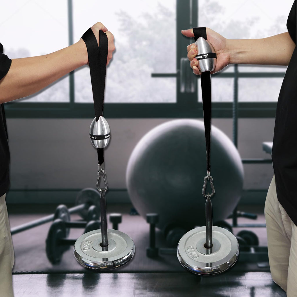 Wrist Fight Aluminum Alloy Elliptical Wrist Ball Trainer – Durable Forearm & Grip Strength Exerciser with Non-Slip Design, Pronation & Supination Training, Includes Storage Bag (Black)