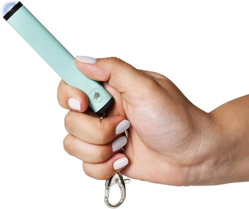 Guard Dog Security Enlight Mini Stun Gun - Compact Self Defense Keychain with LED Flashlight & USB-C Rechargeable
