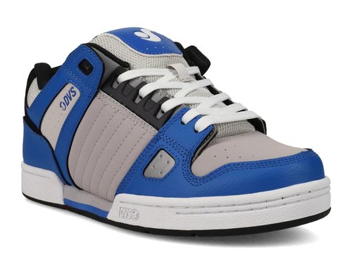 DVS Celsius