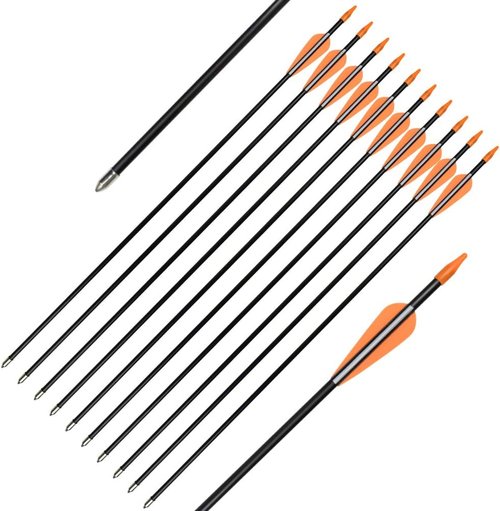 Elong Fiberglass Arrows - Target Shooting Practice for Youth & Beginners | 24-30 Inch Sizes