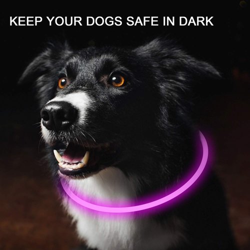 Novkin LED Dog Collar - Rechargeable Light-Up Safety Necklace for Night Walking | 2-Pack, Red & Pink