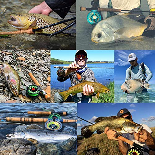 Maxcatch Carbon Fiber Fly Fishing Rod Travel Tube Case 33.46 Inch for 10ft 4-Piece Fly Rod - Aluminum Cap