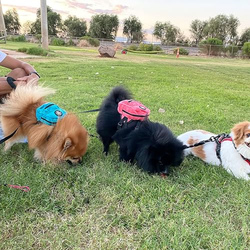 Dog Backpack Harness with Leash and Poop Bag Dispenser - Pink, Medium (10-15lb)