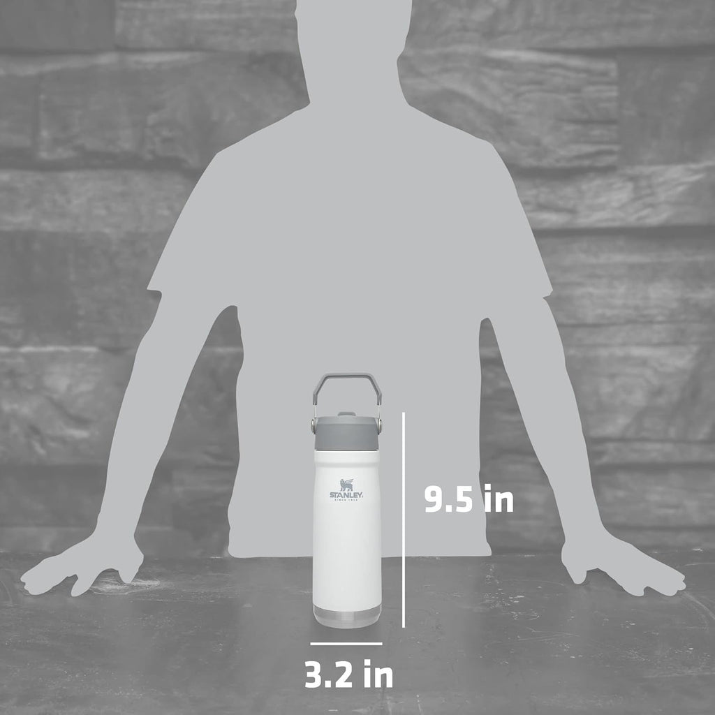 STANLEY IceFlow Water Bottle - 22 oz Insulated Stainless Steel | Built-In Straw | Lightweight & Leak Resistant | BPA-Free | Polar