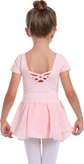 Danswan Toddler Girls' Ballet Leotard Dress - Long Sleeve Tutu Outfit with Glitter Skirt