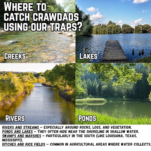 Kraken Supply Co 6-Pack Heavy Duty Crawfish Traps - Collapsible Steel Mesh Bait Nets for Creeks Ponds & Lakes