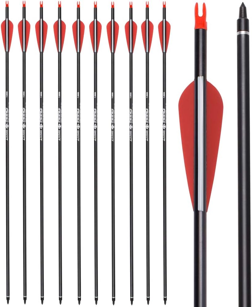 Skiennix Carbon Arrow - Hunting Target Practice Arrows with Removable Tips | 26, 28, 30 Inch, Spine 500 (6/12 PCS)