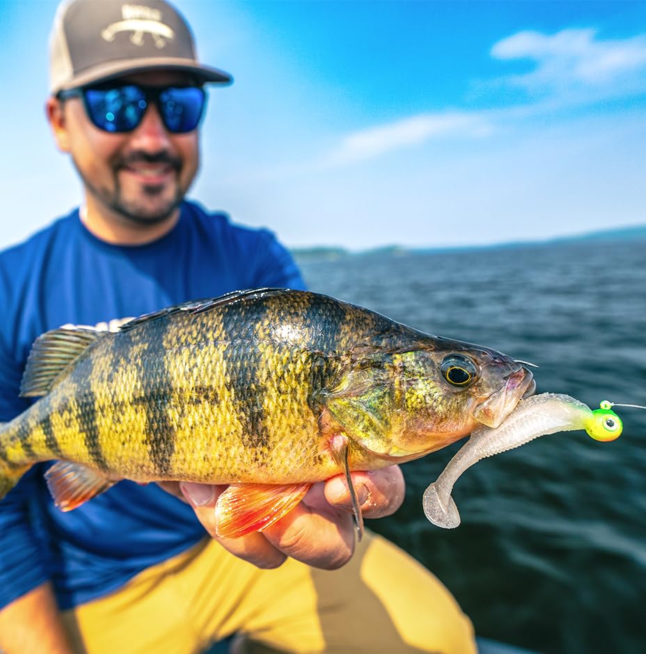 Rapala CrushCity Mayor Soft Plastic Paddle Tail Swimbait, Strong Kicking Action for Swim Jigs & Underspins, Bass, Redfish, Trout, Snook, Walleye & More, Green Pumpkin Disco, 3"