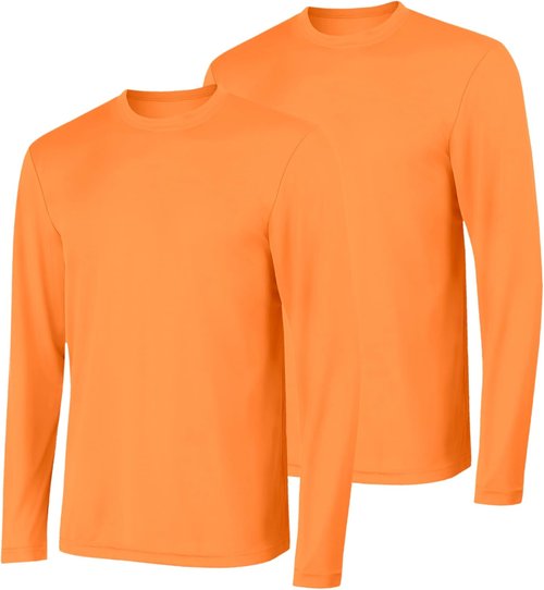 Hanes Sport Men's Long-Sleeve Performance T-Shirts - Cool DRI Moisture-Wicking, 2-Pack