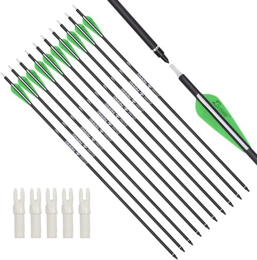 Archery Bow Carbon Arrows - Target Practice with Removable Tips | 26, 28, 30 Inch, Spine 500, 6 or 12 Pack